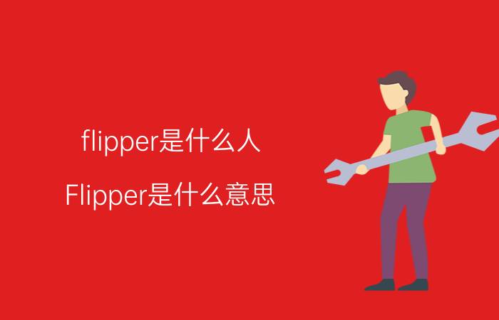 flipper是什么人 Flipper是什么意思？